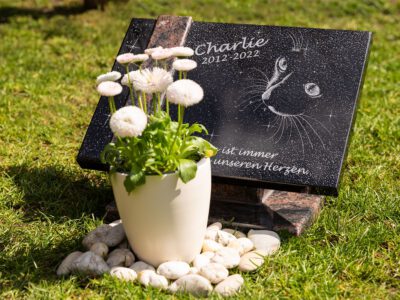 Detailaufnahme einer personalisierten Gedenktafel aus Basalt-Gestein für eine verstorbene Katze.