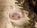 Zartrosa Taschenstein mit Waage-Motiv liegt auf Sand